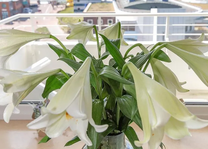 Atlantik, App 28 아파트 *